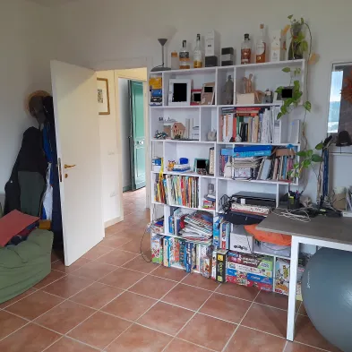 Image 4