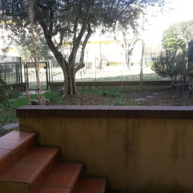 Image 9