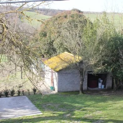 Image 6