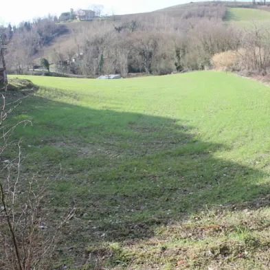 Image 10