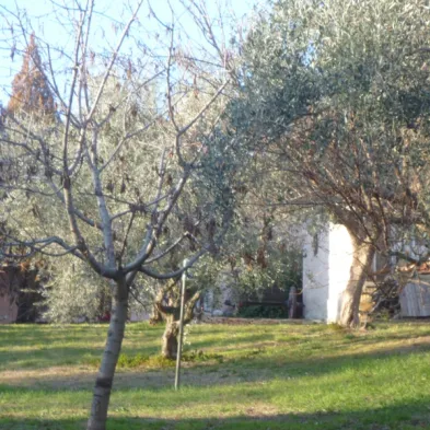 Image 13