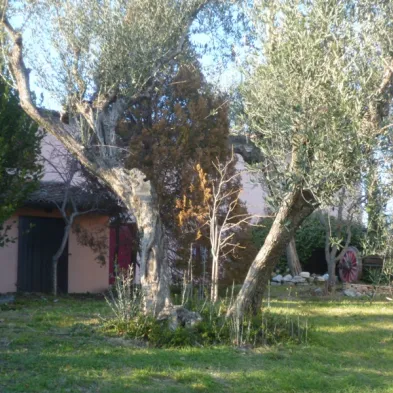 Image 9