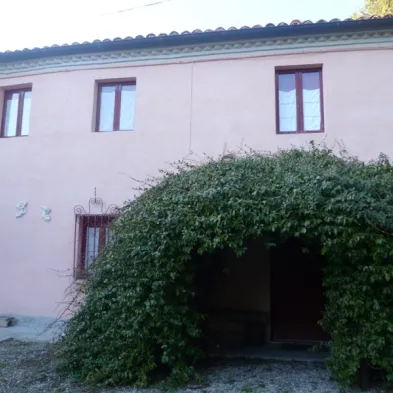 Image 15