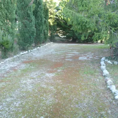 Image 30