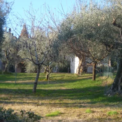 Image 31