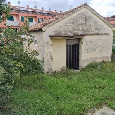Image 19