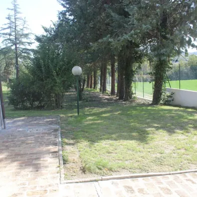 Image 30