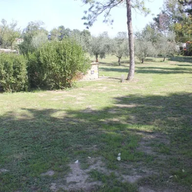 Image 31