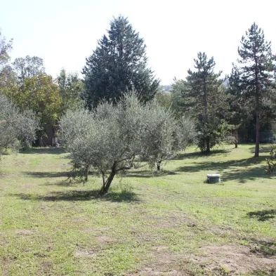 Image 35
