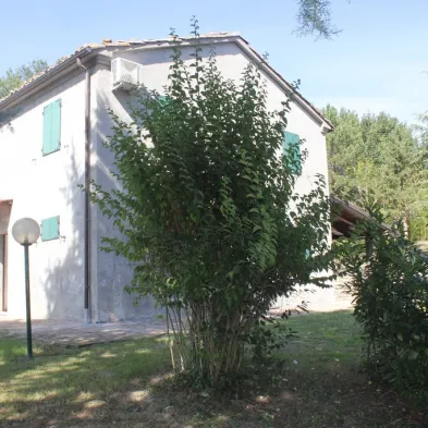 Image 38