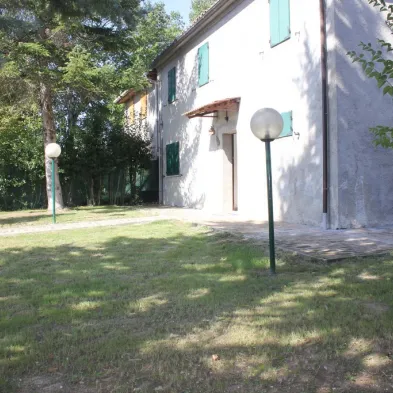Image 39