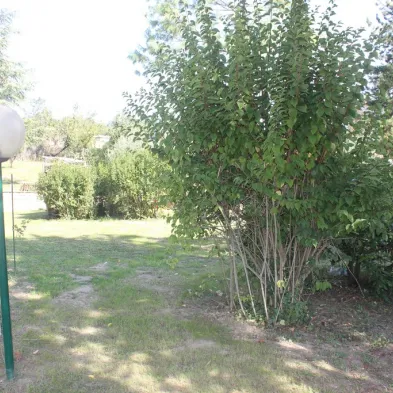 Image 41
