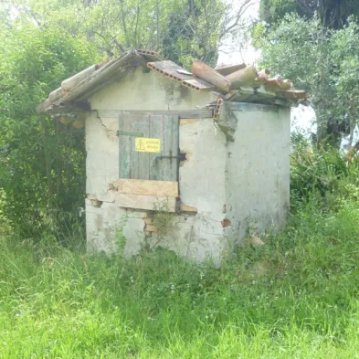 Image 12