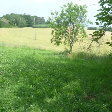 Image 13