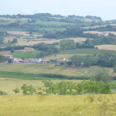 Image 15