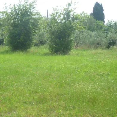 Image 18
