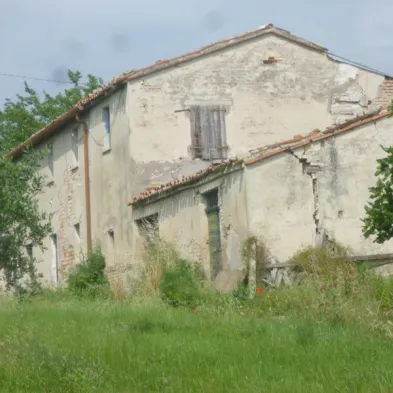 Image 20