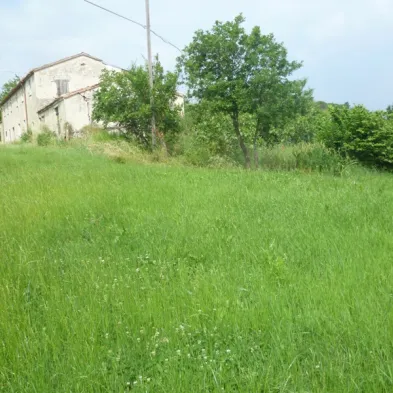 Image 21