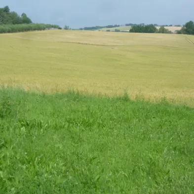 Image 22
