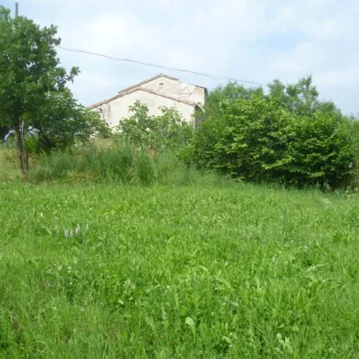 Image 23