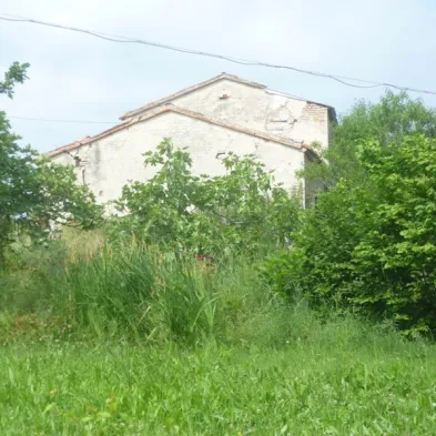 Image 24