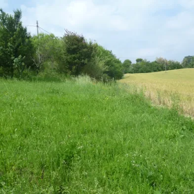 Image 27