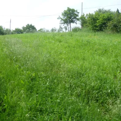 Image 28