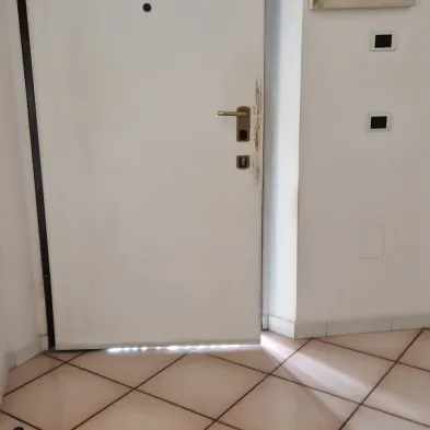 Image 21