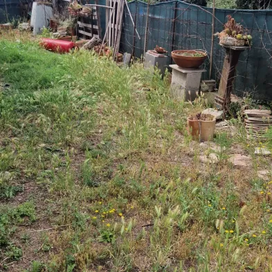 Image 24