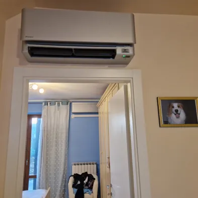 Image 19