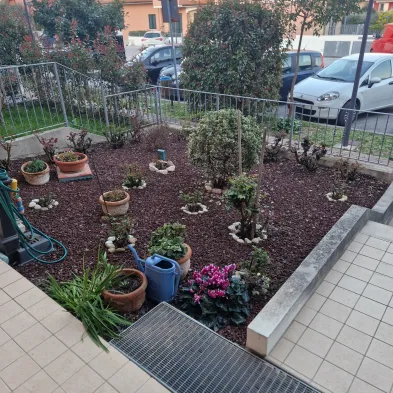 Image 20
