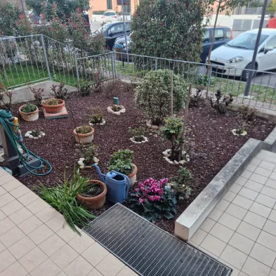 Image 21