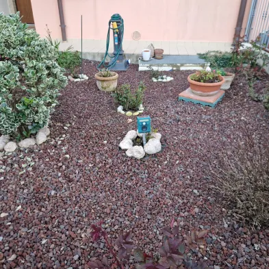 Image 24
