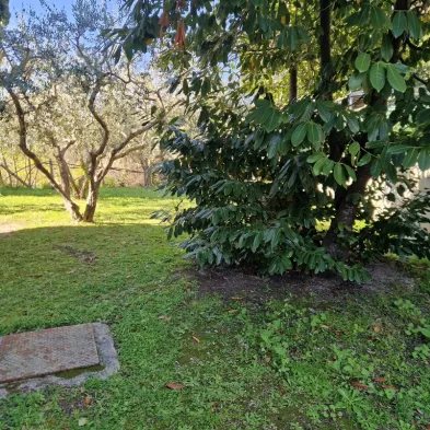 Image 14