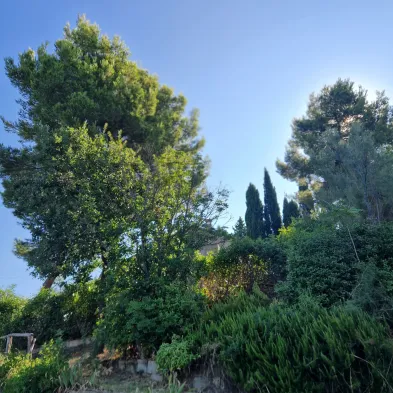 Image 12
