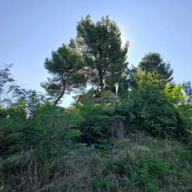 Image 13