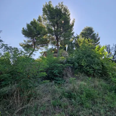 Image 15