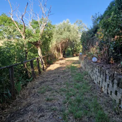 Image 20