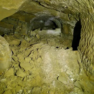Image 41