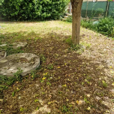 Image 26