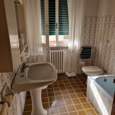 Image 21