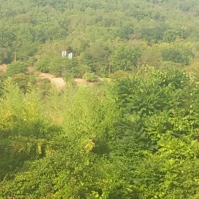 Image 14