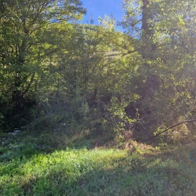 Image 40